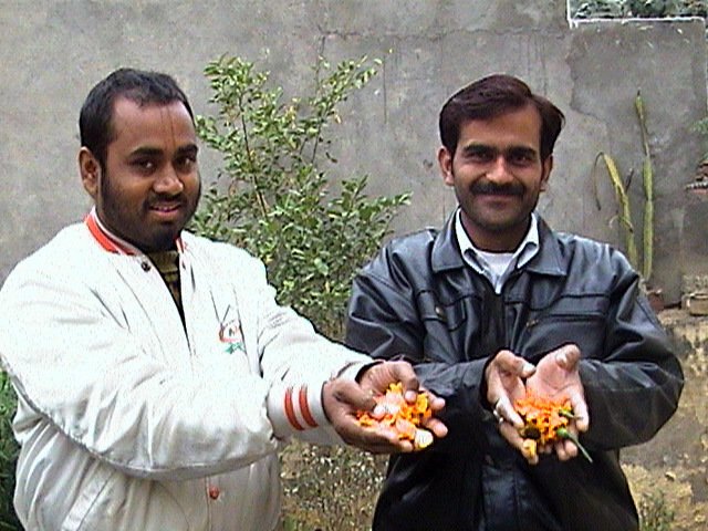 6 utsava vrindavan 2003.12.16 23