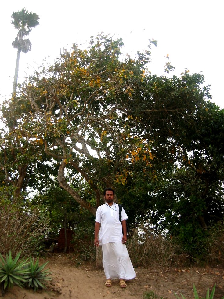 157 jagannath puri parikrama 2004.03.08