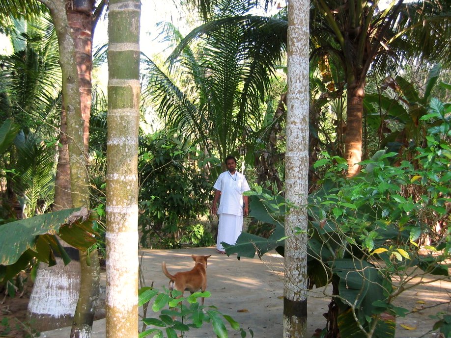 67 jagannath puri parikrama 2004.03.08