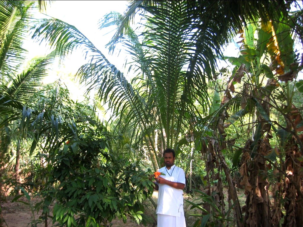 68 jagannath puri parikrama 2004.03.08