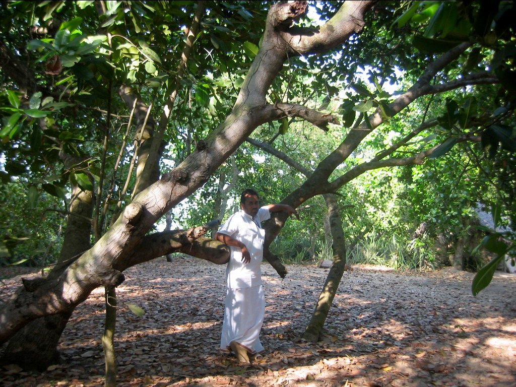 70 jagannath puri parikrama 2004.03.08
