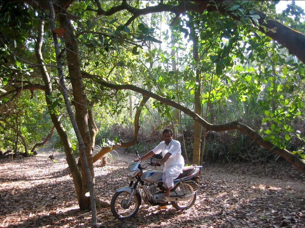 72 jagannath puri parikrama 2004.03.08