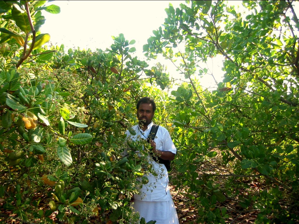 74 jagannath puri parikrama 2004.03.08