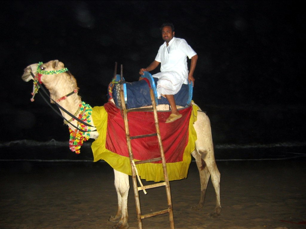 78 jagannath puri parikrama 2004.03.08