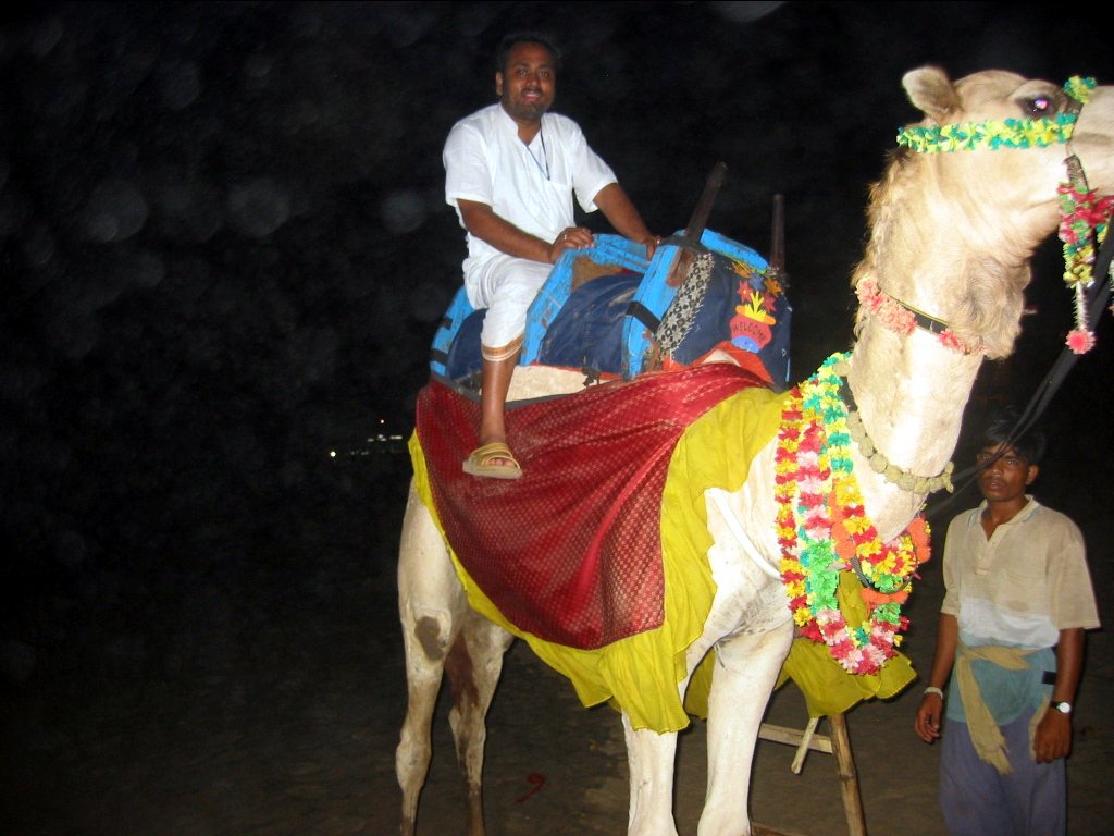 81 jagannath puri parikrama 2004.03.08