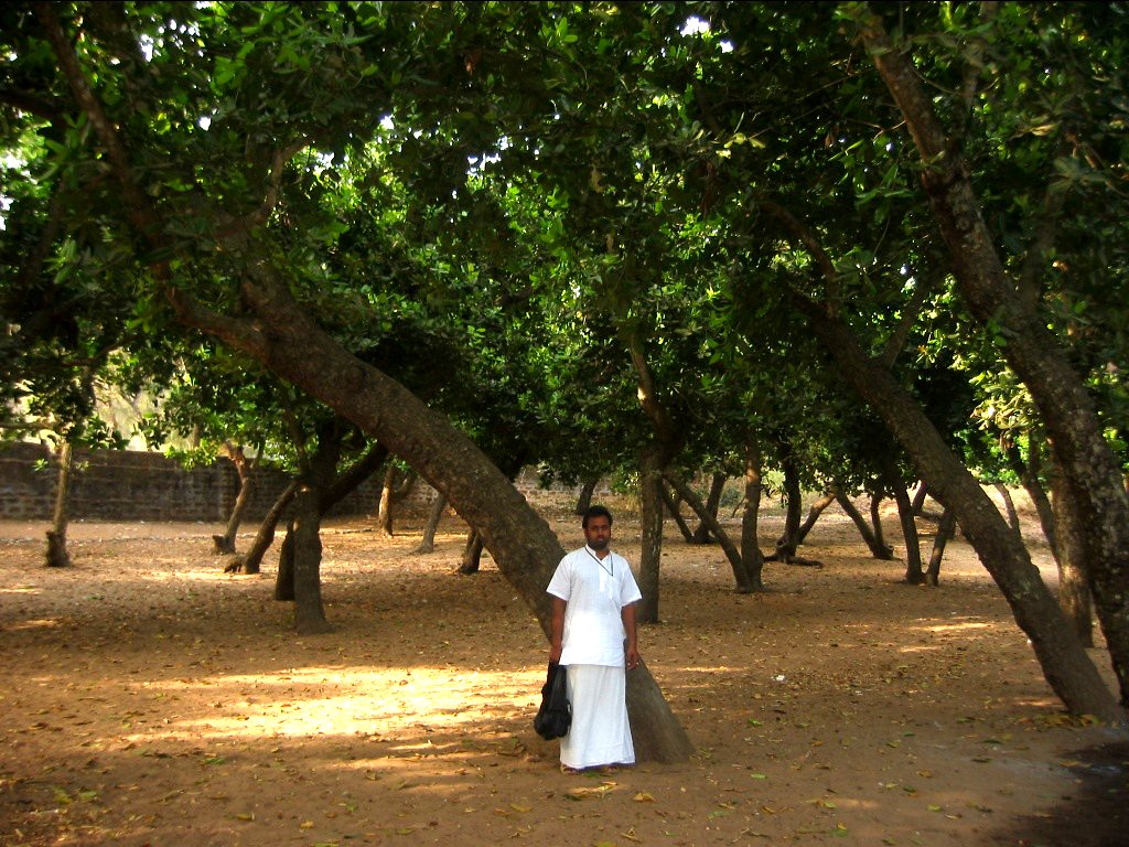 84 jagannath puri parikrama 2004.03.08
