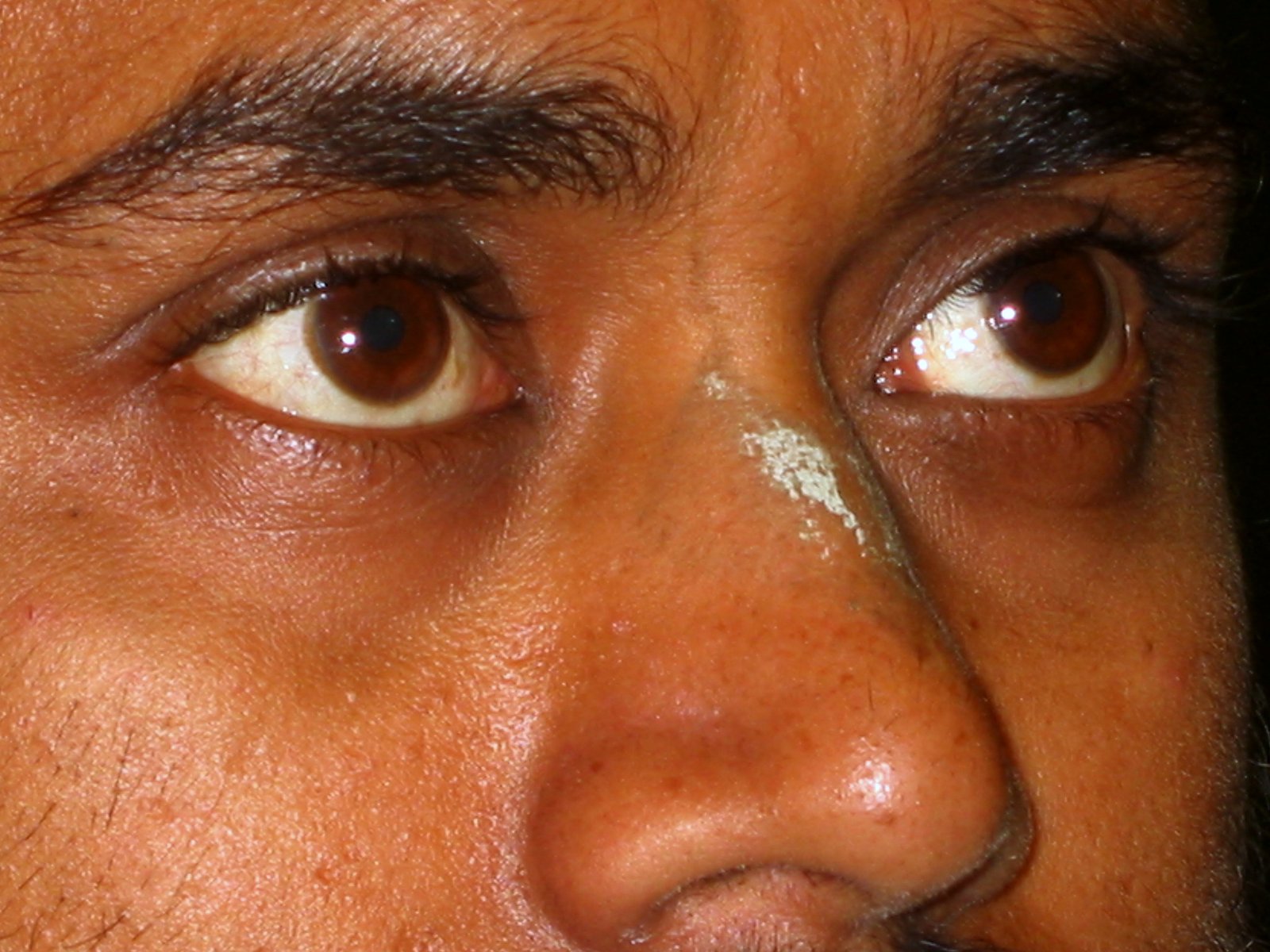 14 kailash nagar vrindavan 2004 02 25