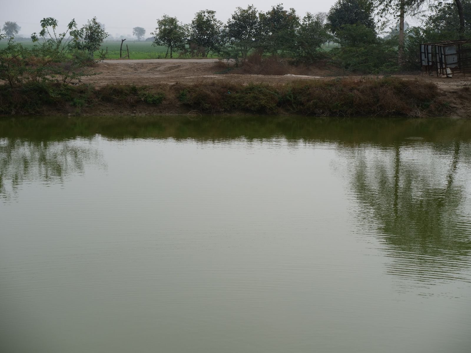 12 badabhaitan rasouli parikrama 2019 12 18