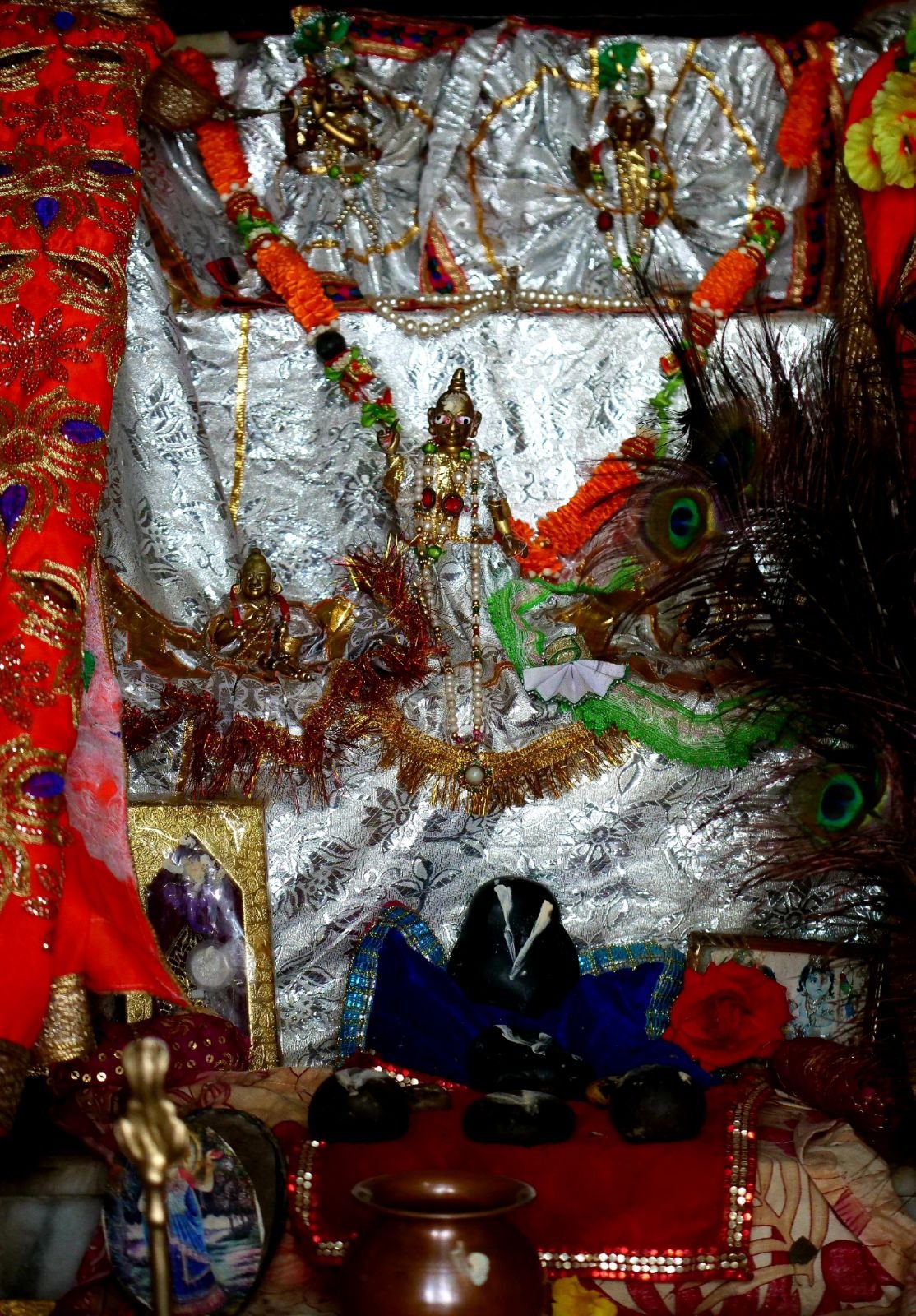 14 badabhaitan rasouli parikrama 2019 12 18