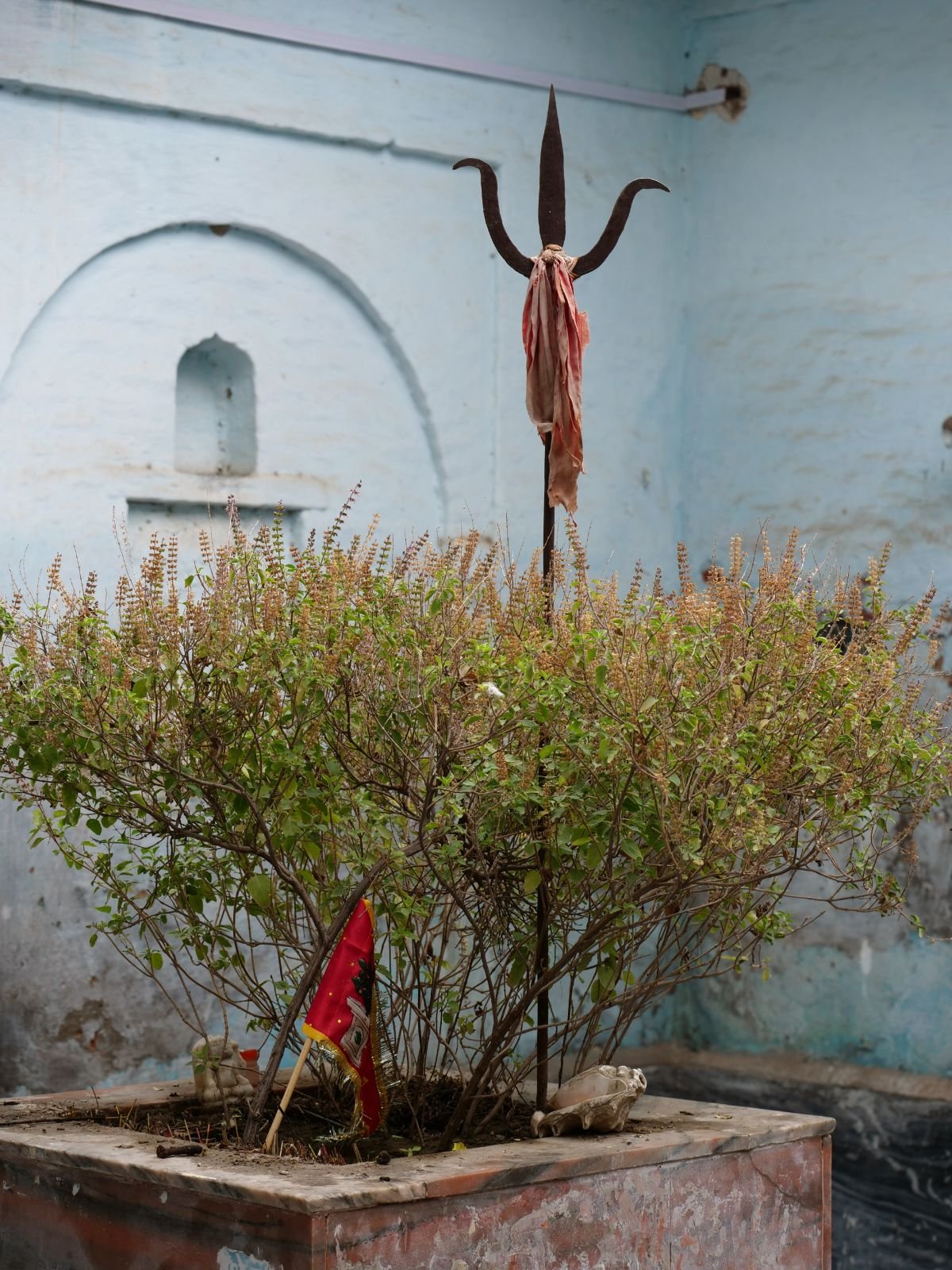 15 badabhaitan rasouli parikrama 2019 12 18