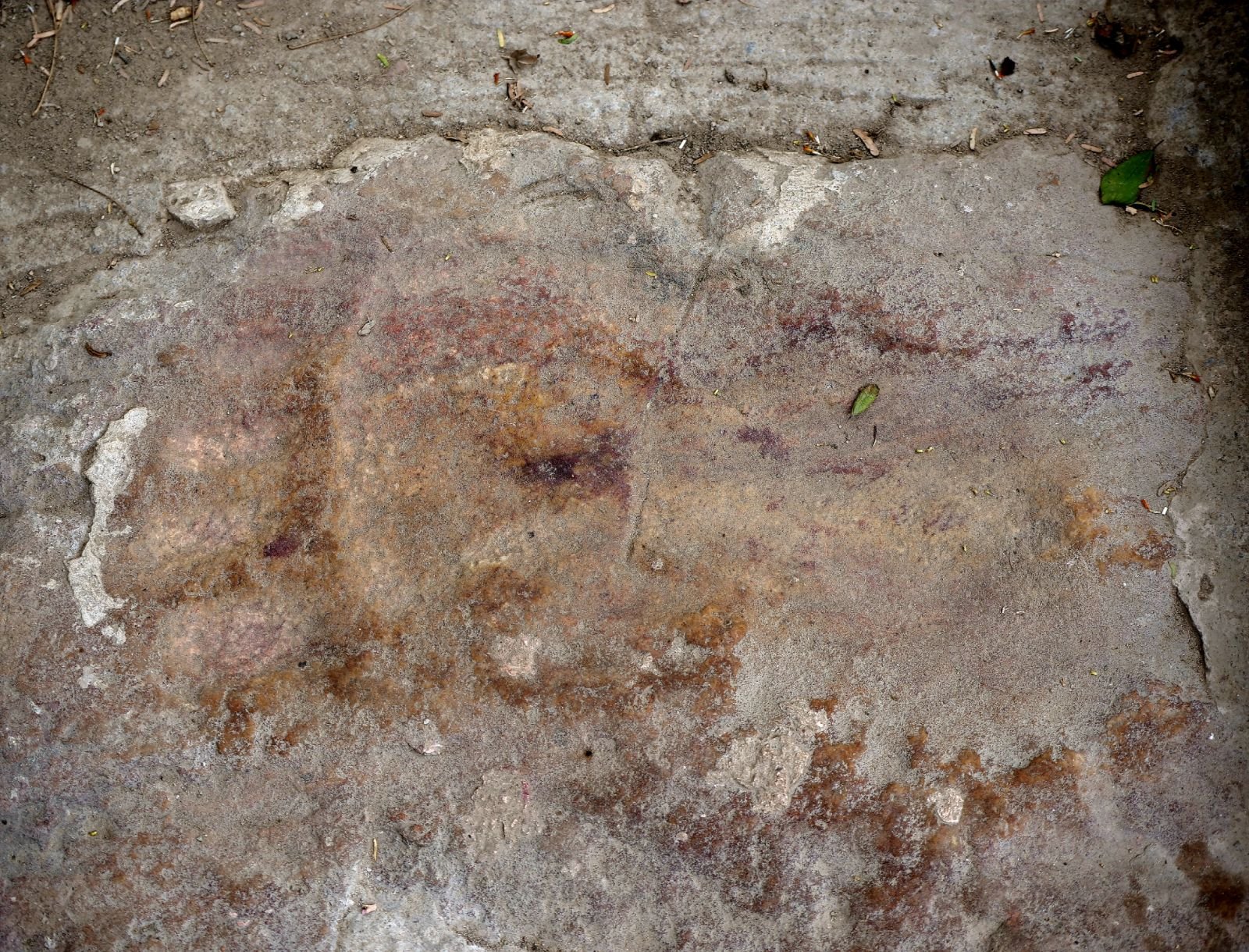 23 badabhaitan rasouli parikrama 2019 12 18