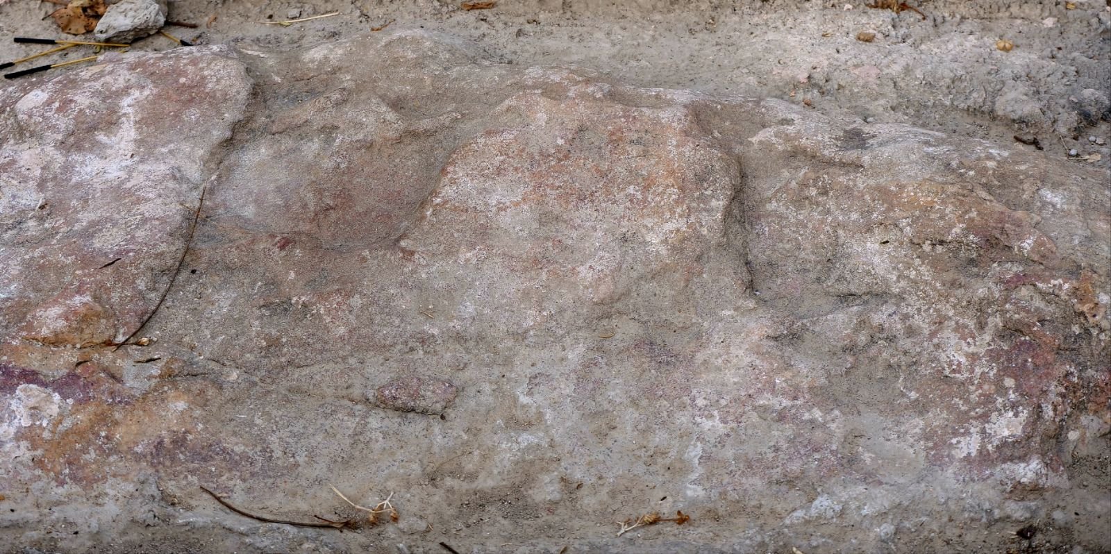 25 badabhaitan rasouli parikrama 2019 12 18