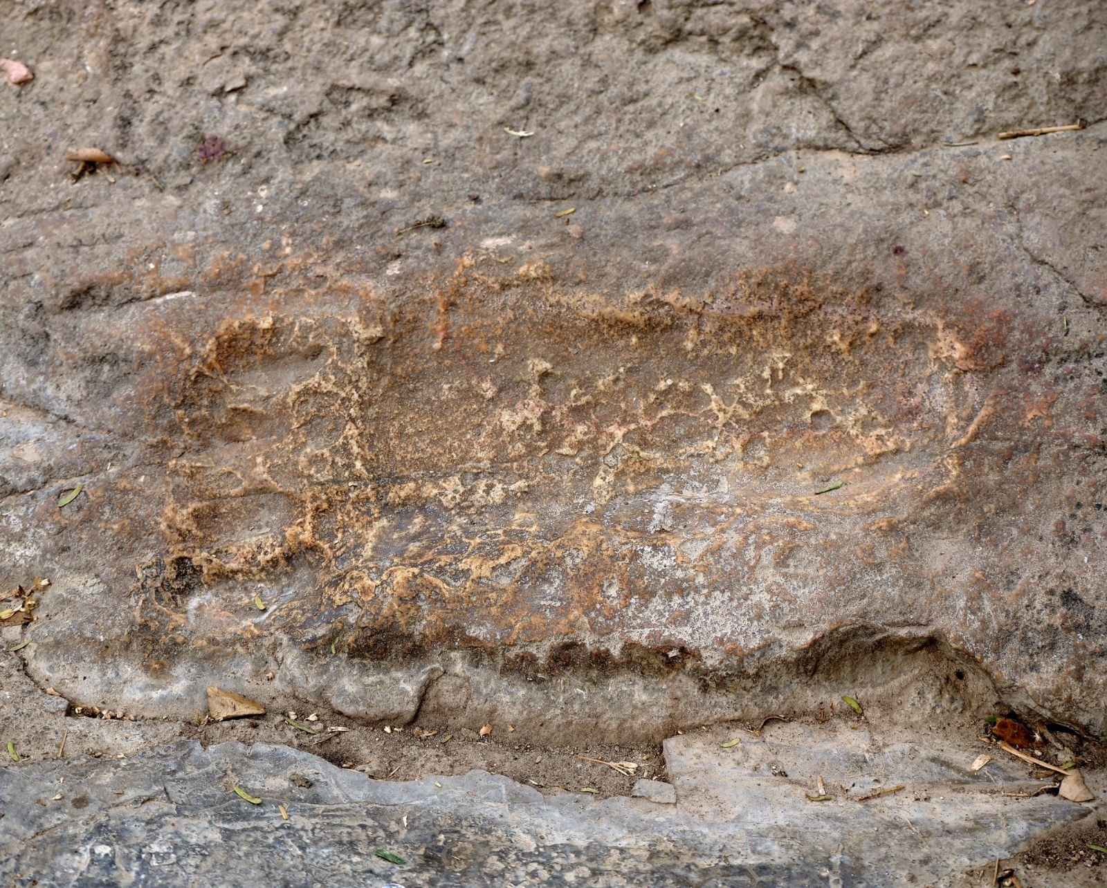 30 badabhaitan rasouli parikrama 2019 12 18