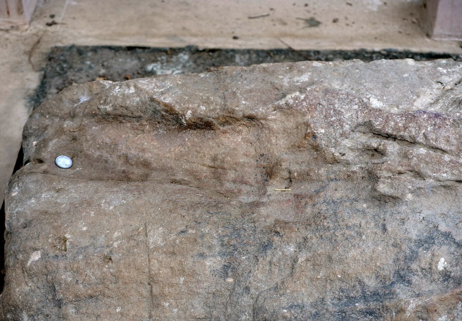 33 badabhaitan rasouli parikrama 2019 12 18