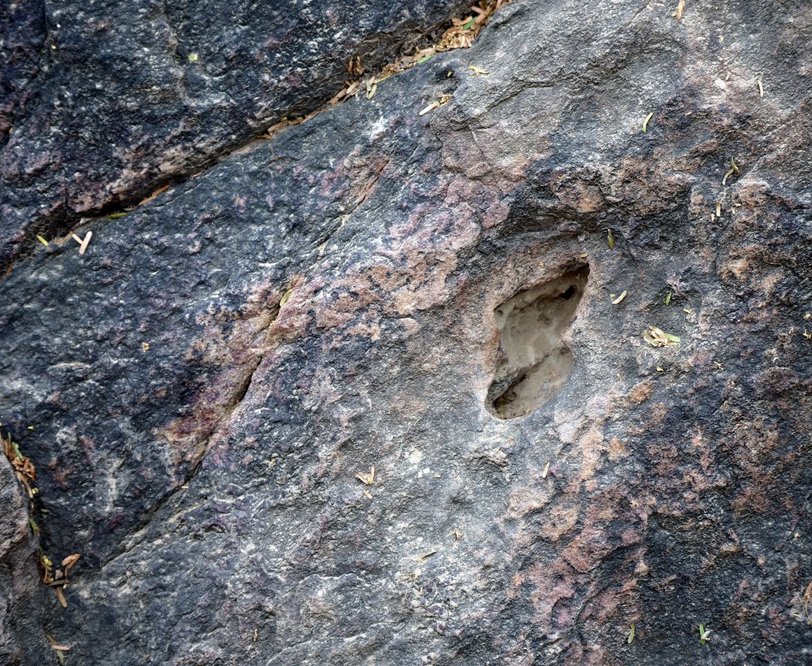 41 badabhaitan rasouli parikrama 2019 12 18