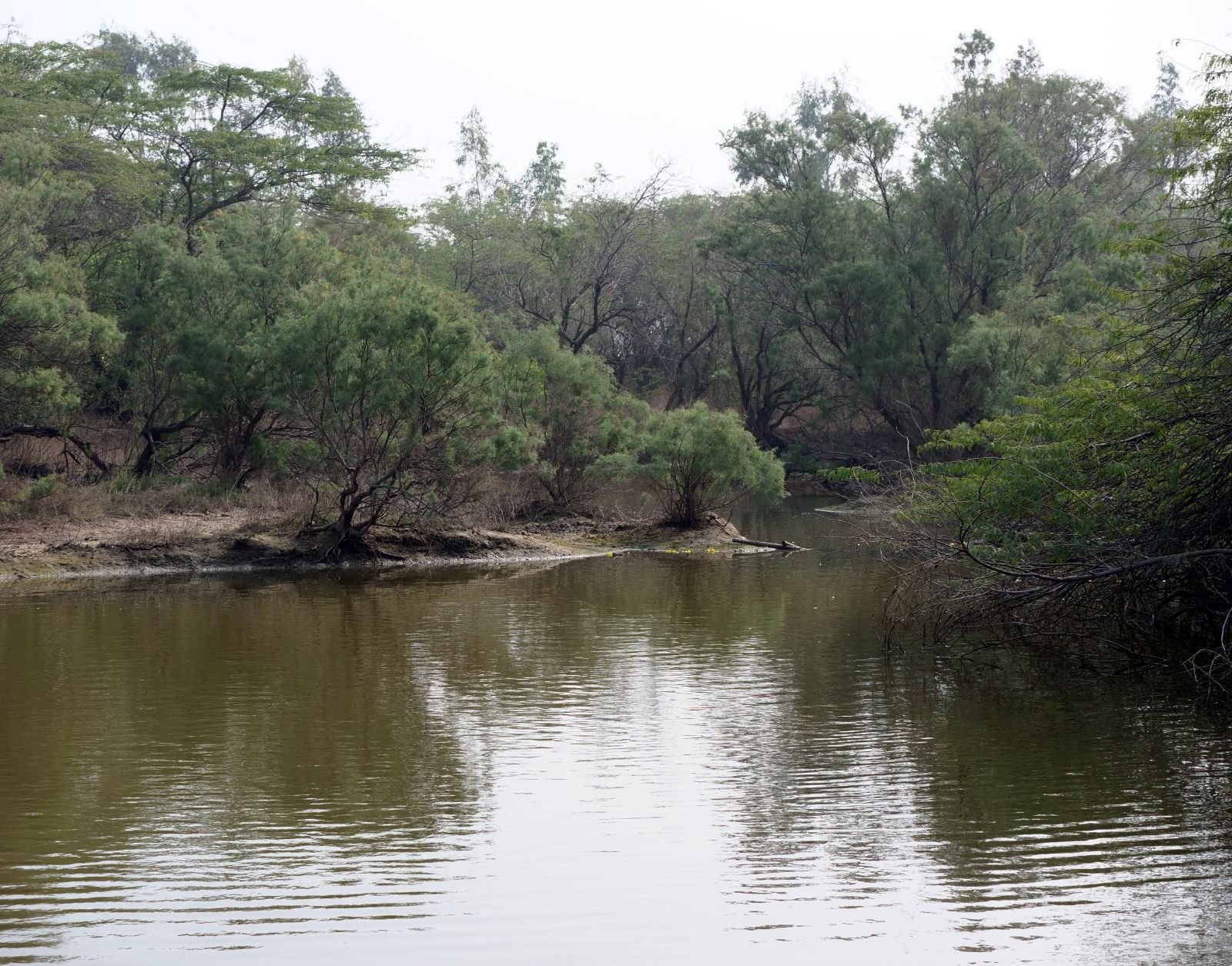 67 badabhaitan rasouli parikrama 2019 12 18