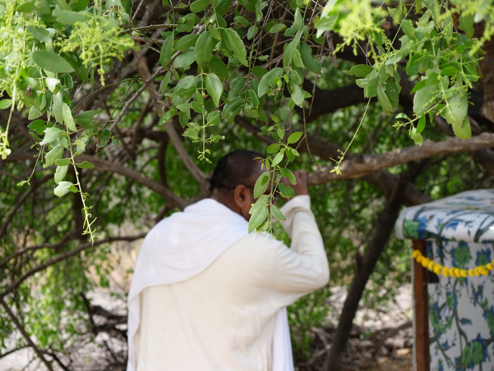 70 badabhaitan rasouli parikrama 2019 12 18