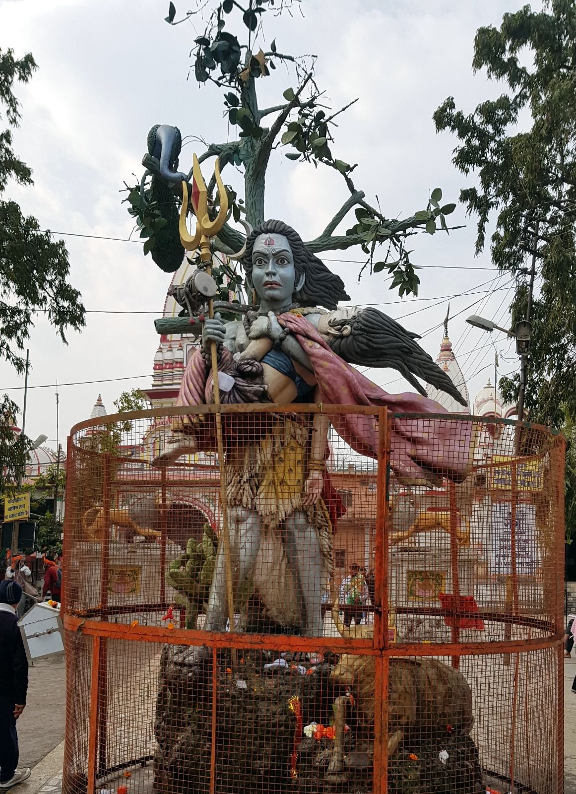 14 rishikesh parikrama 2020.02.19 21