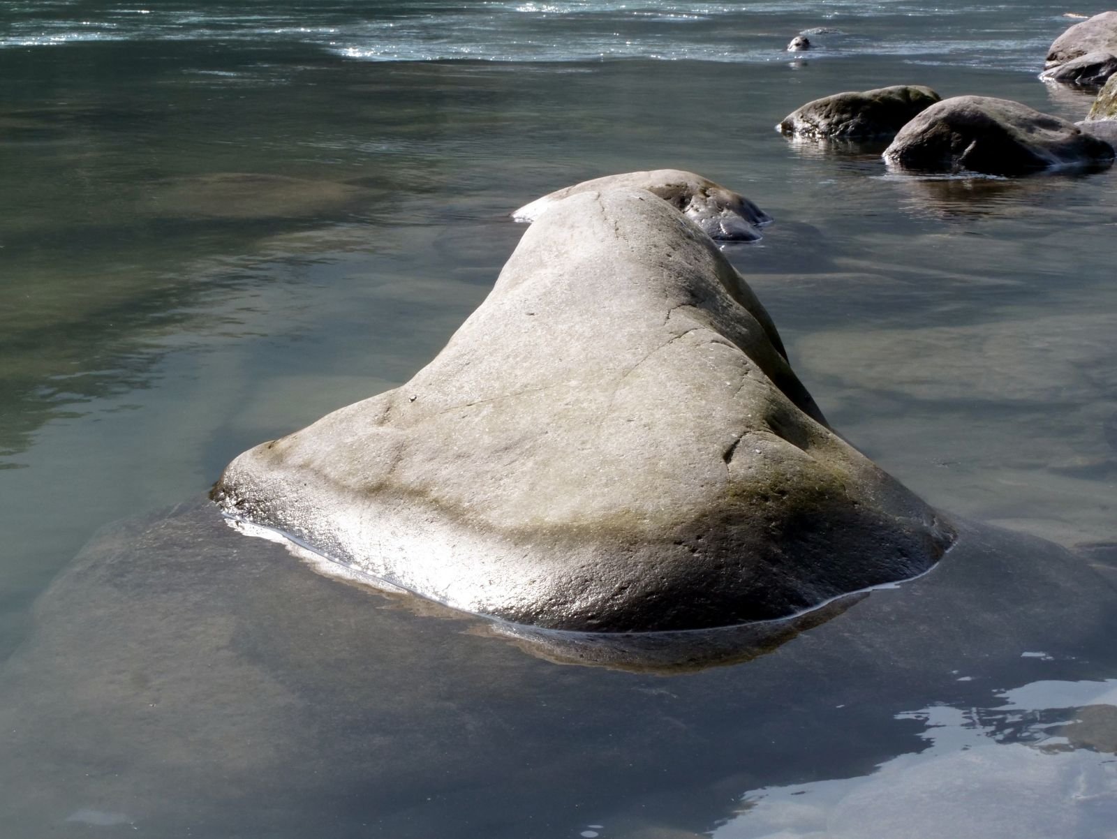 43 rishikesh parikrama 2020.02.19 21