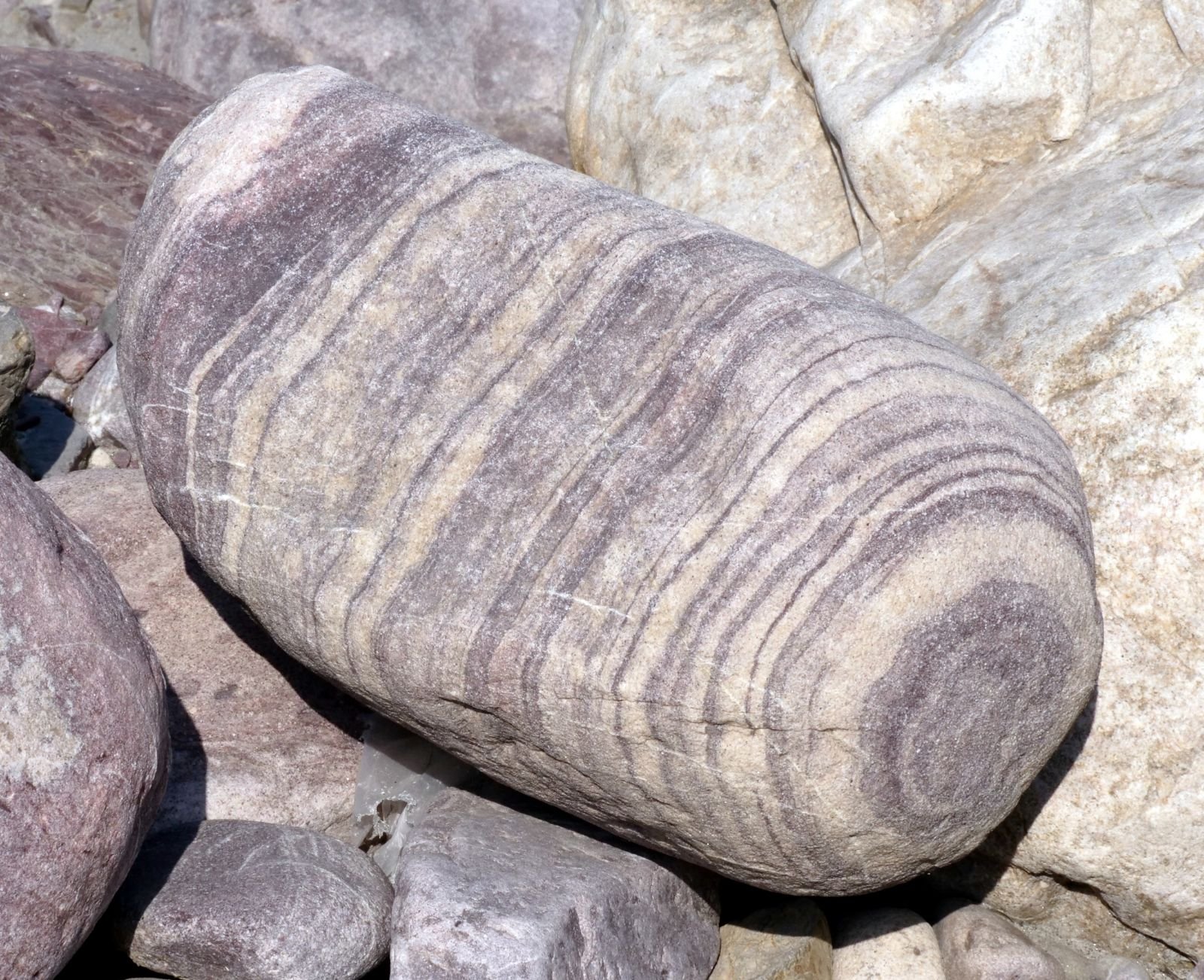 46 rishikesh parikrama 2020.02.19 21