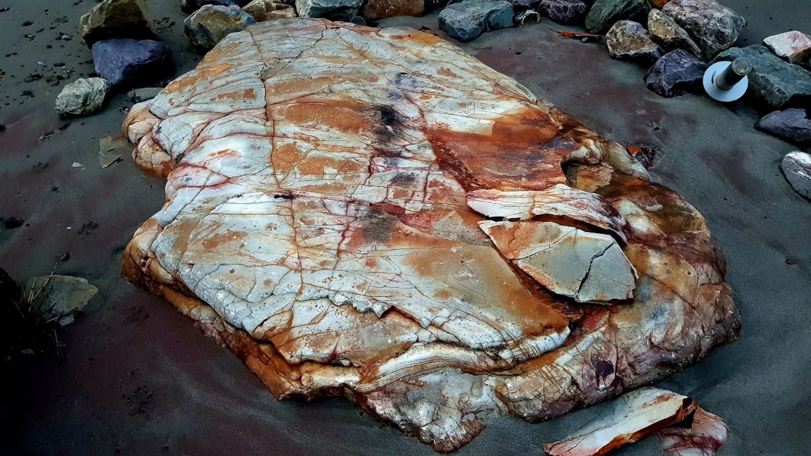 61 rishikesh parikrama 2020.02.19 21