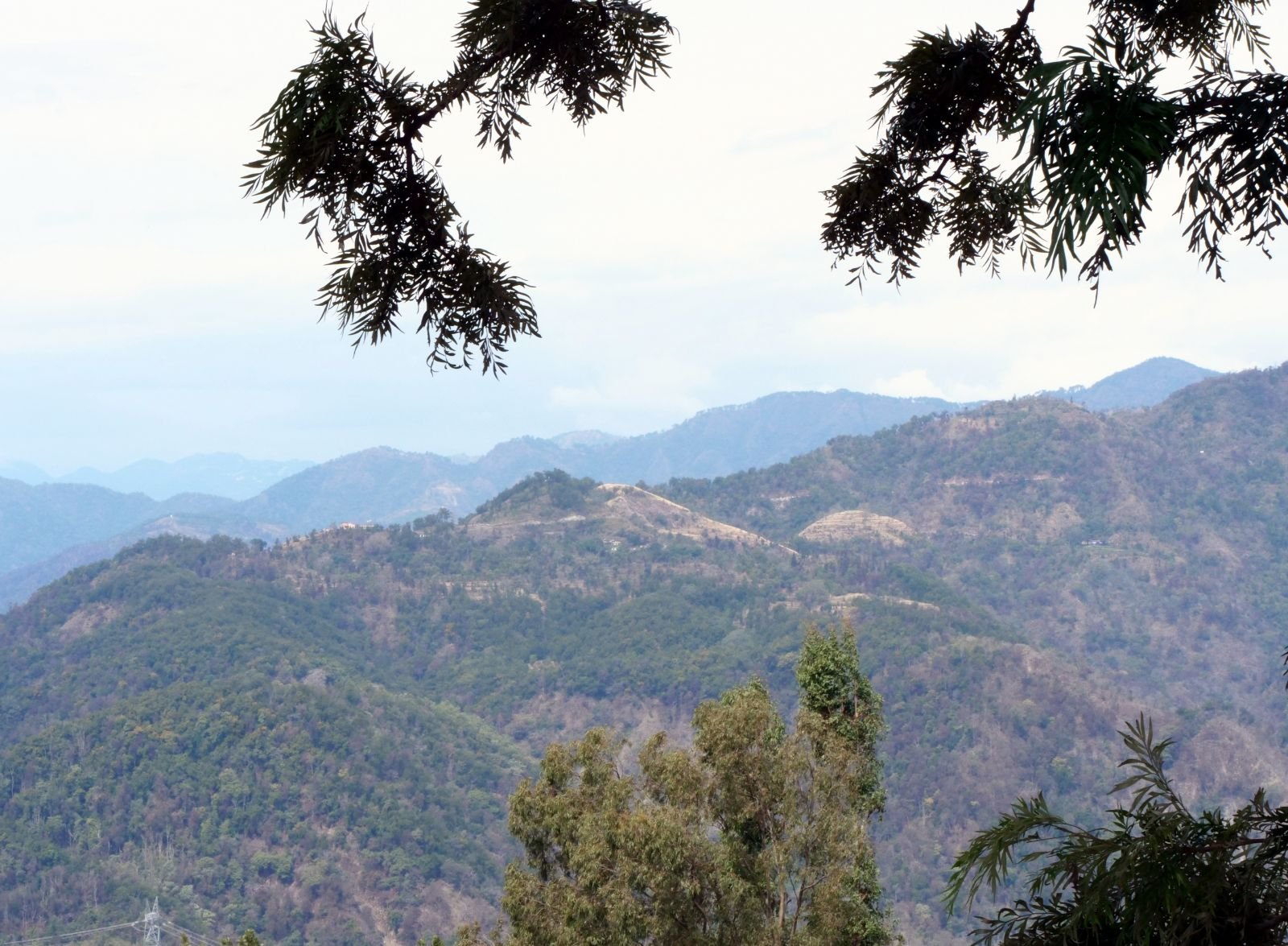 76 rishikesh parikrama 2020.02.19 21