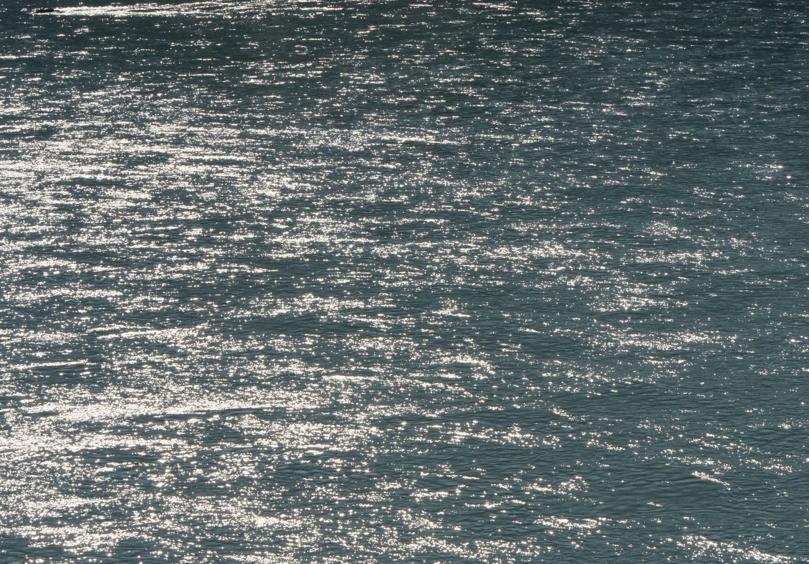 8 rishikesh parikrama 2020.02.19 21