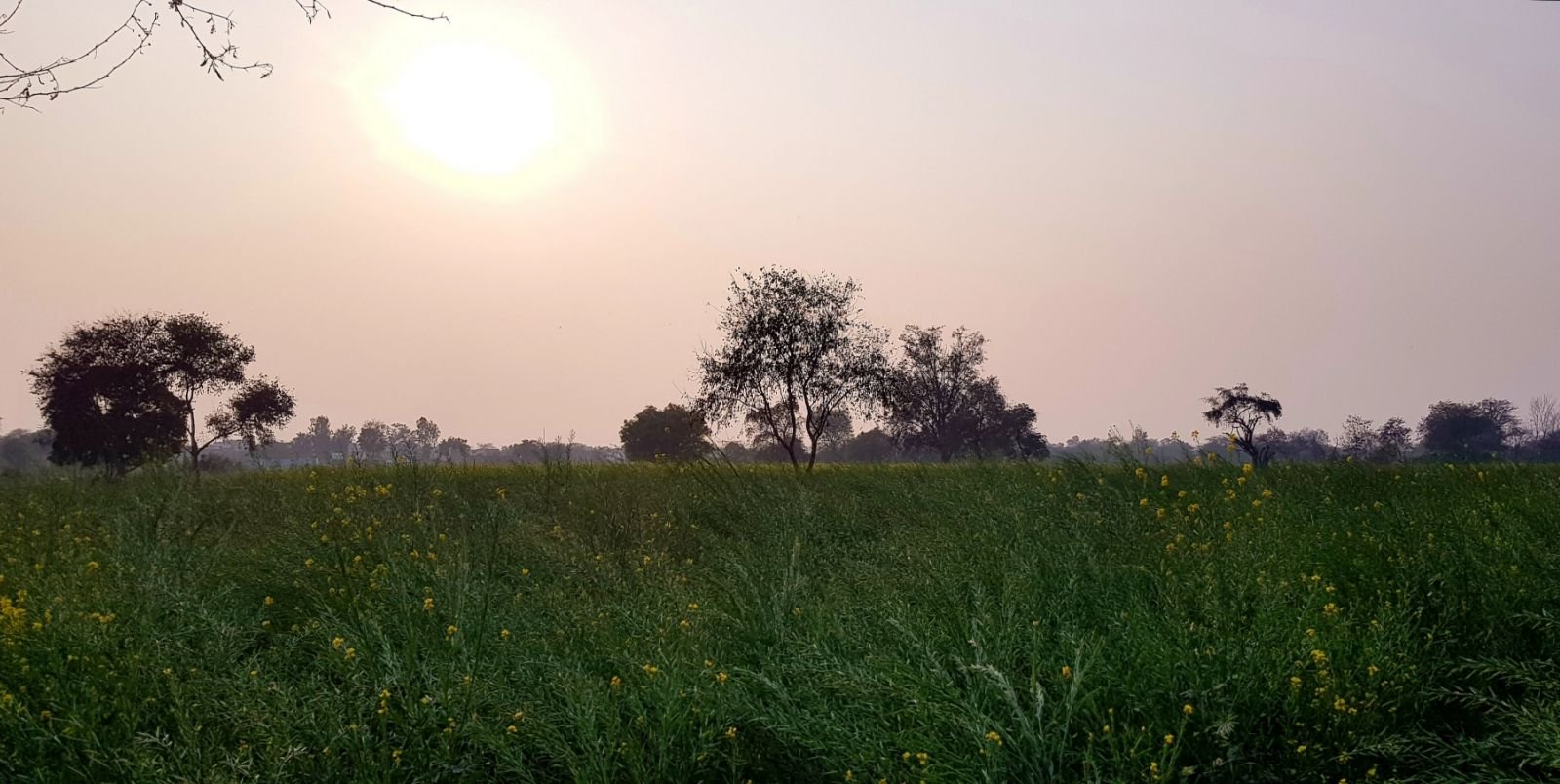 18 mukharai parikrama 2020 02 06