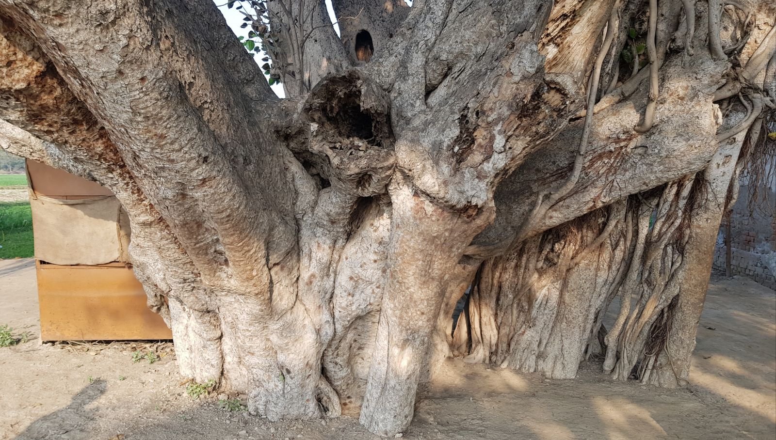 3 mukharai parikrama 2020 02 06