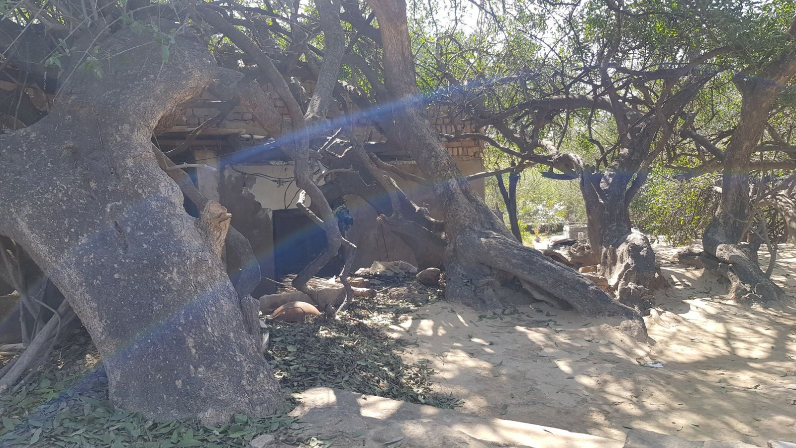 4 varshana parikrama 2020 01 24