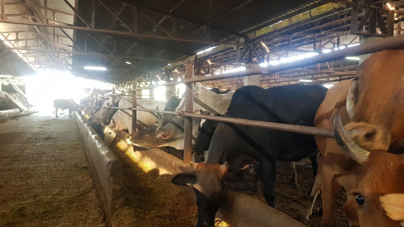 46 varshana parikrama 2020 01 24