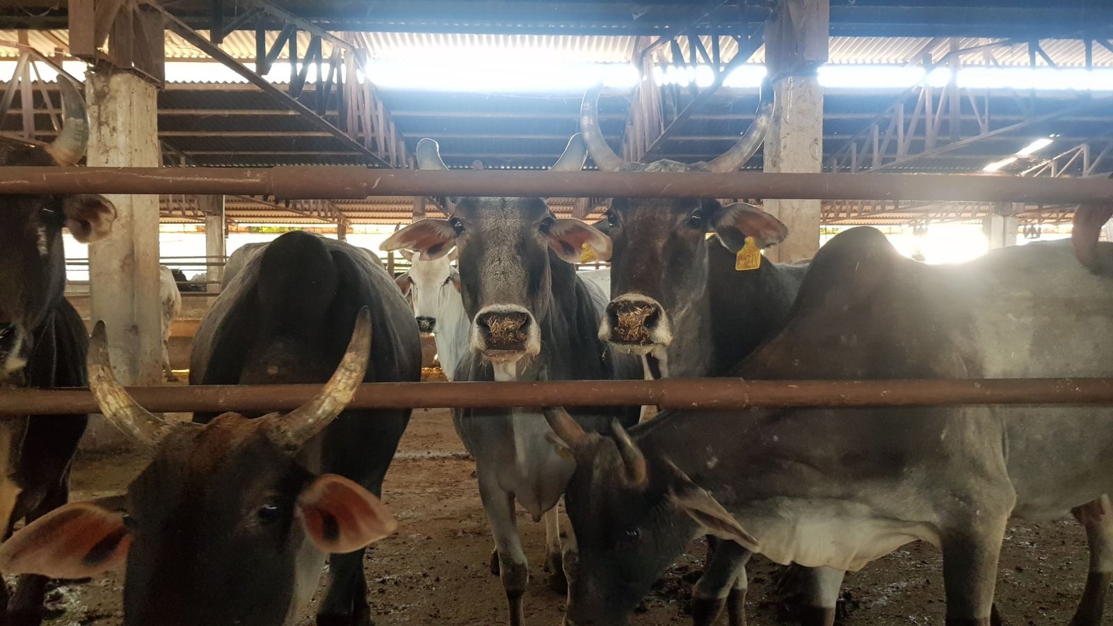 48 varshana parikrama 2020 01 24