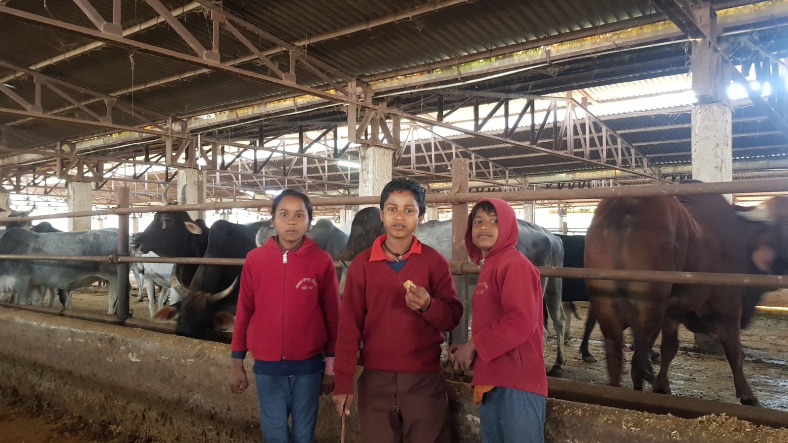 49 varshana parikrama 2020 01 24