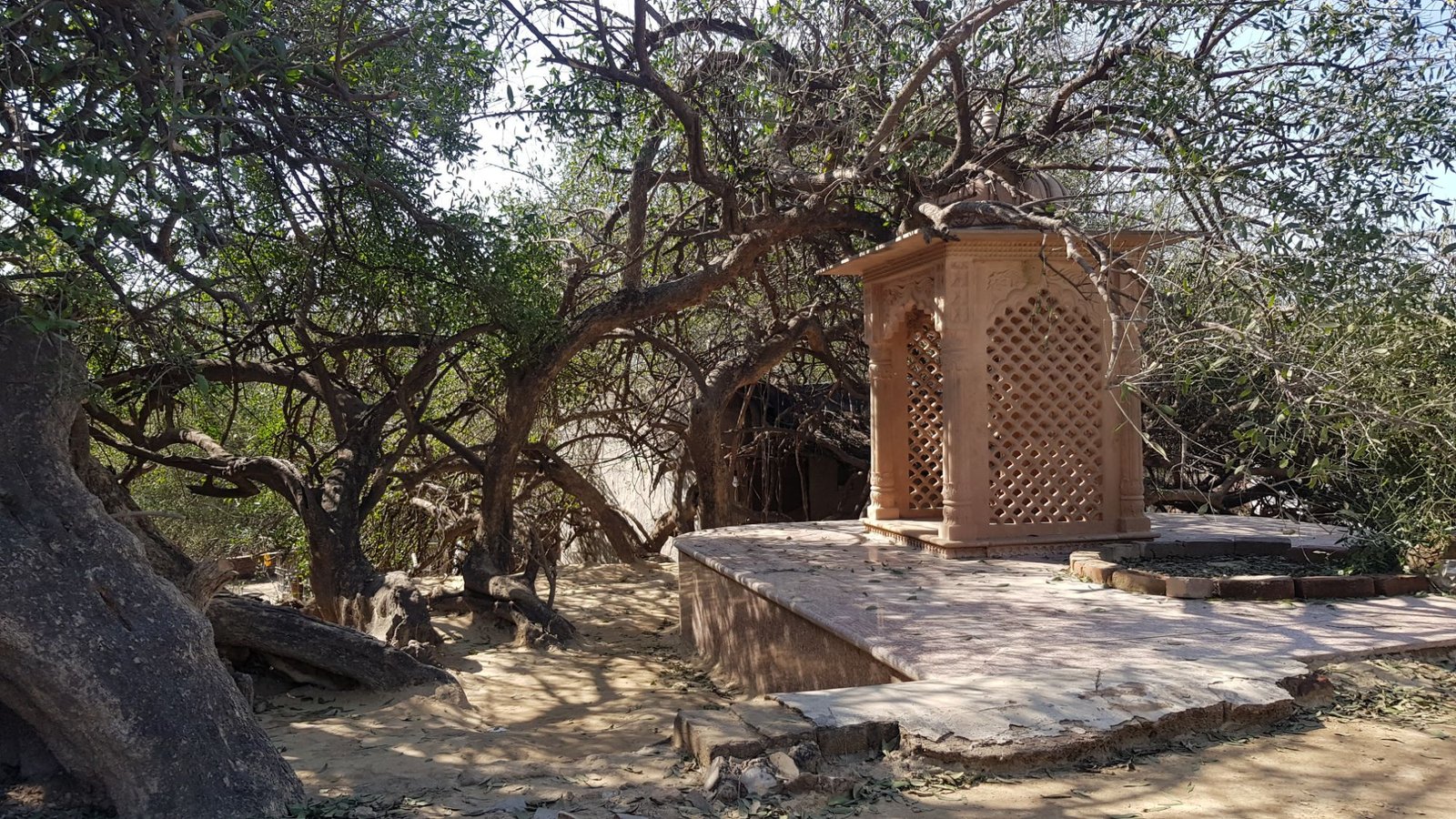 5 varshana parikrama 2020 01 24