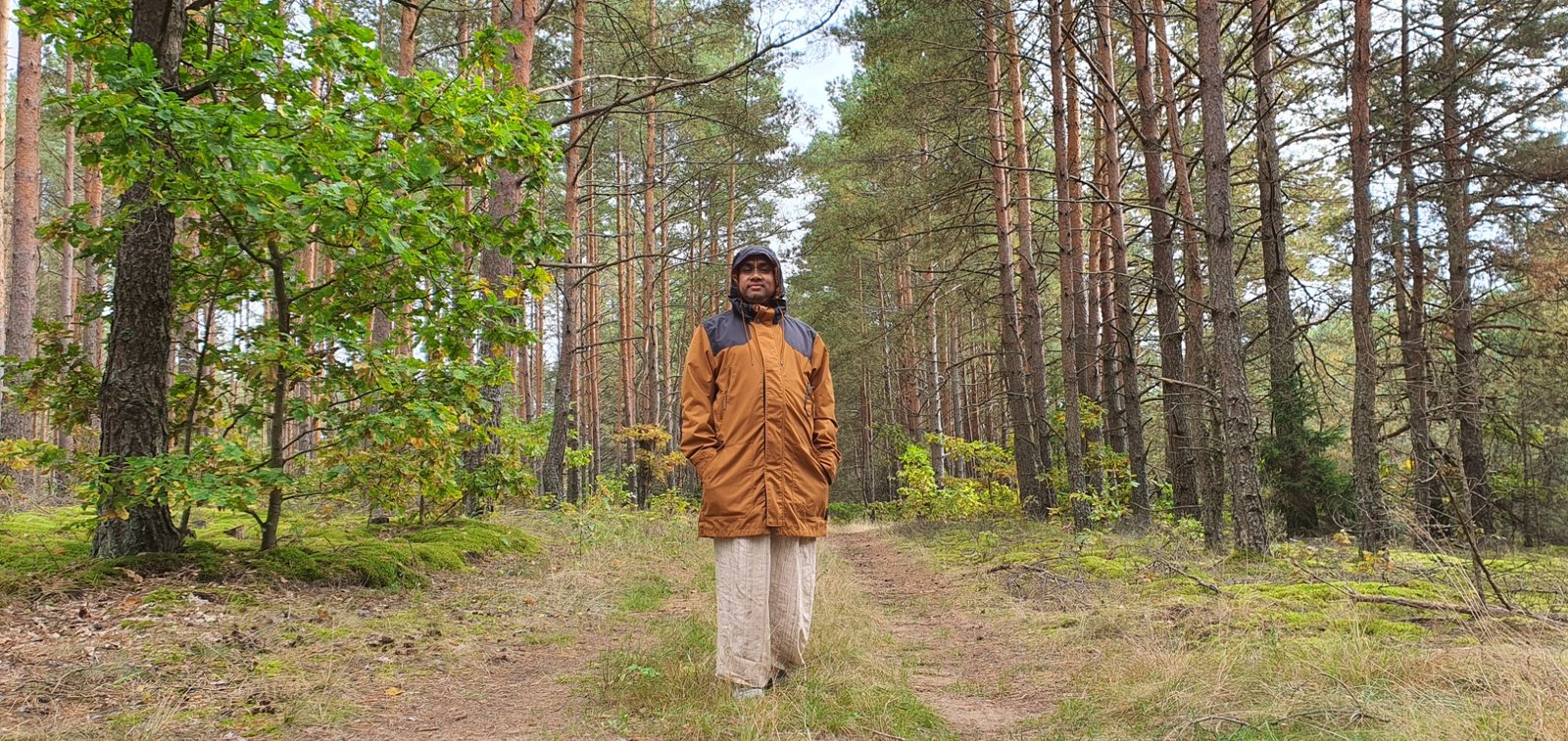 1 rudininkai forest 2022 09 23