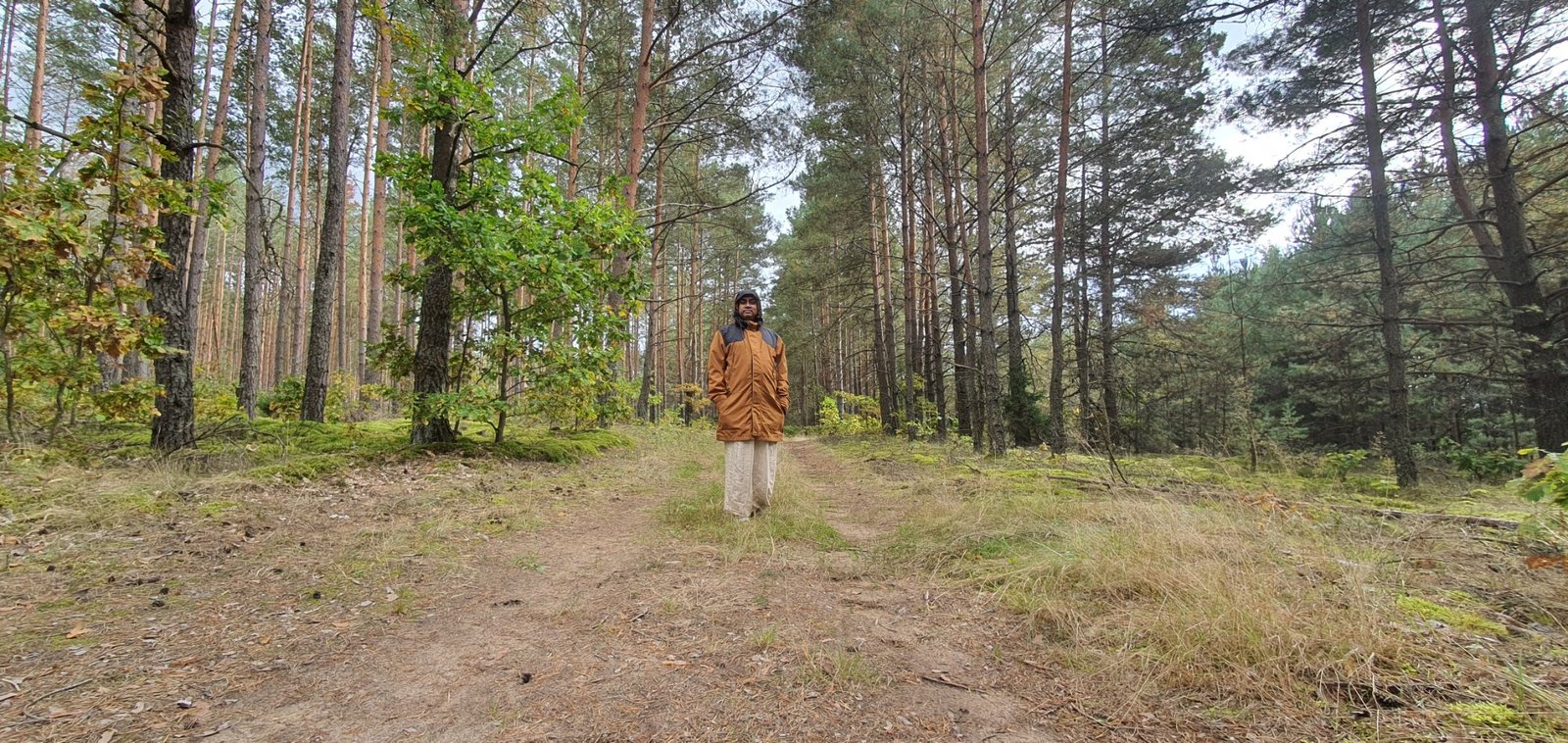 2 rudininkai forest 2022 09 23